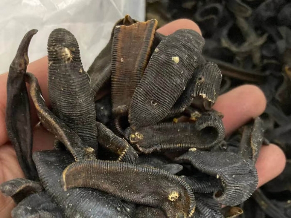 小勐拉99厅制品