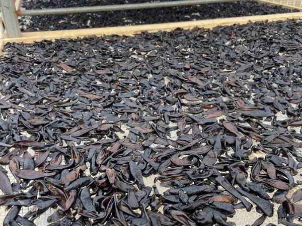 小勐拉99厅制品