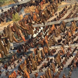 小勐拉99厅制品