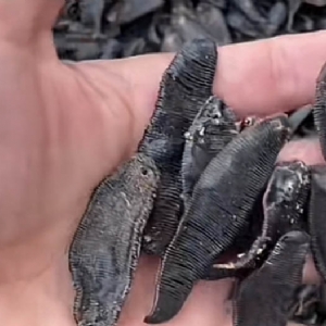 小勐拉99厅制品