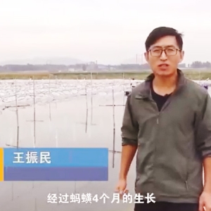 小勐拉99厅收获流程