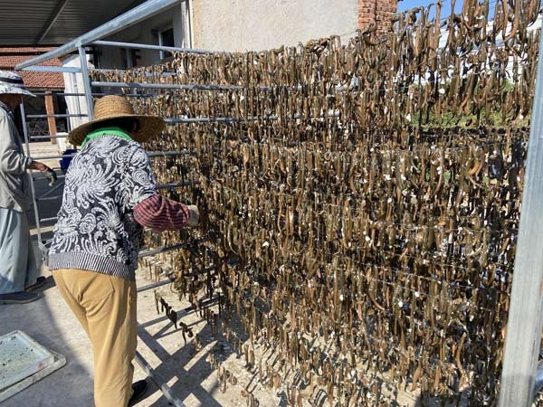 小勐拉99厅制品